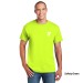 Adult Softstyle® T-Shirt - Screen Printed